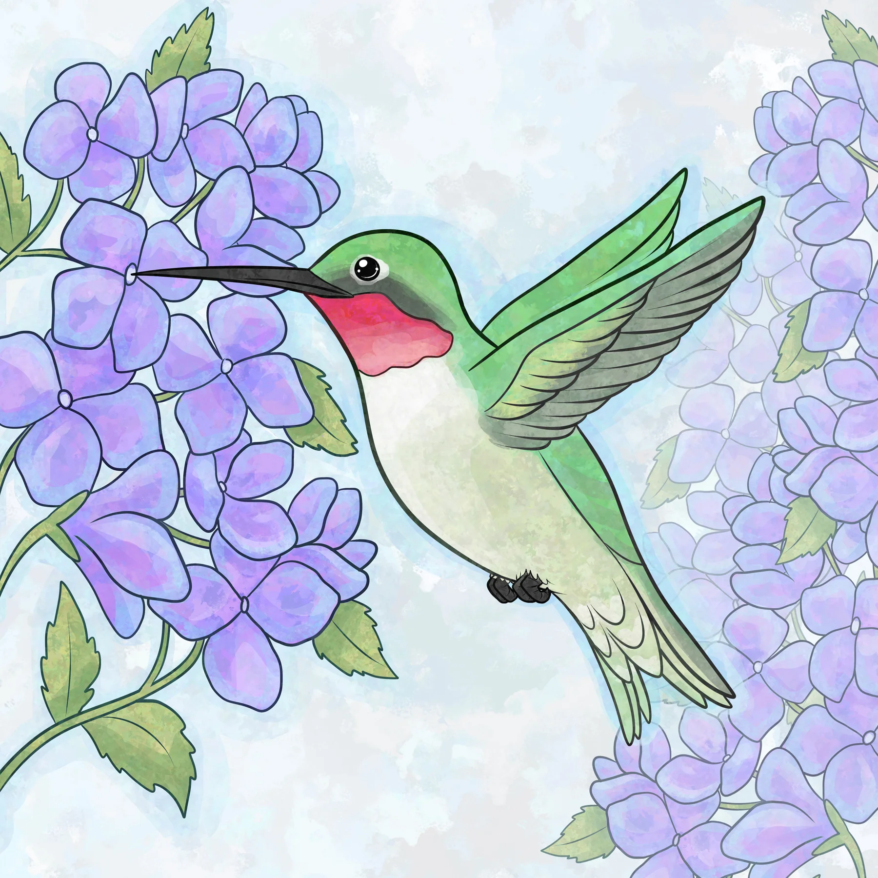 00388 - Hummingbird with Hydrangeas.jpg