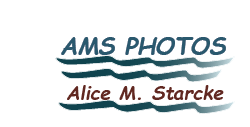 AMS Photos ~ Alice M. Starcke