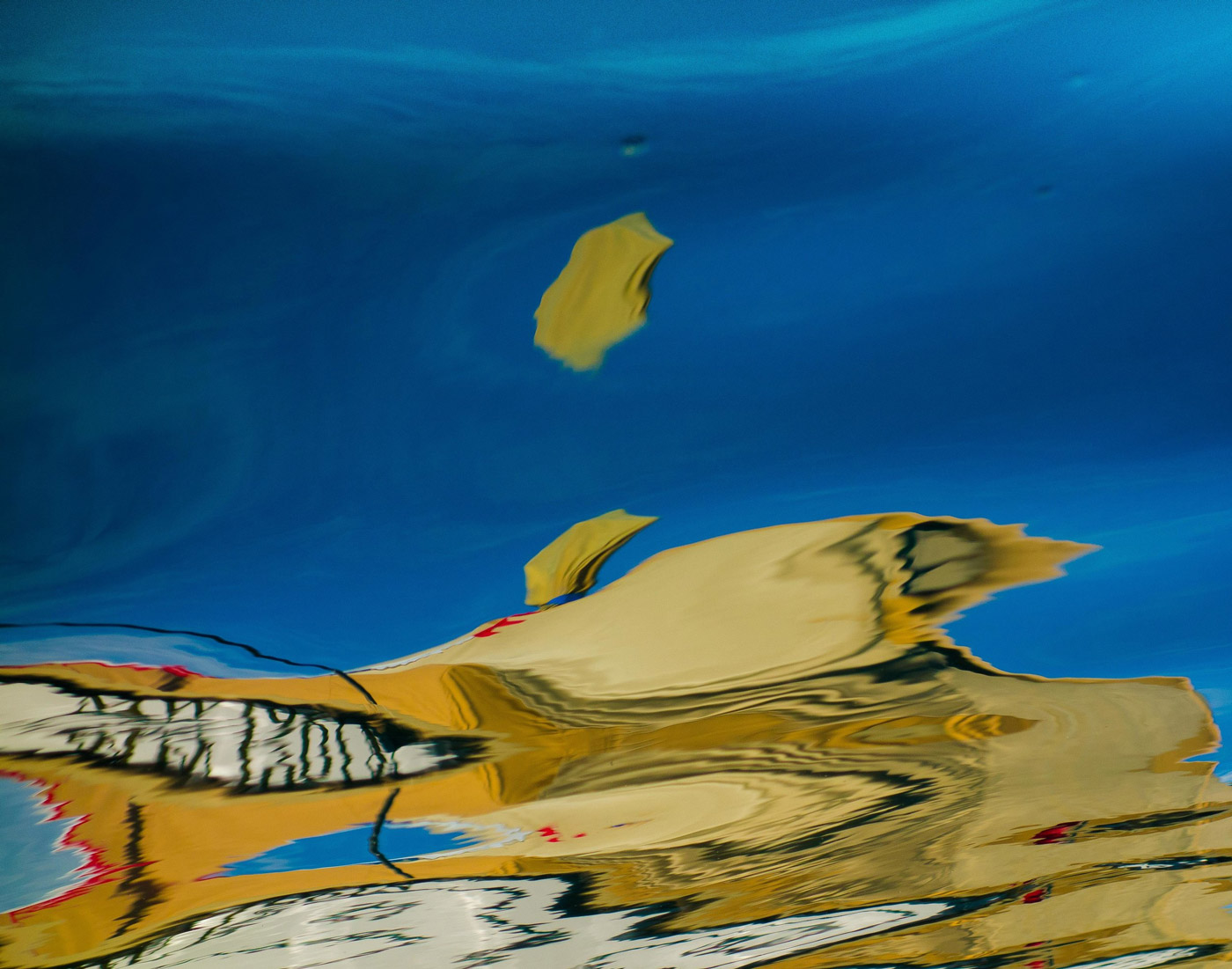 The Underworld of Fish - Ralph Kerle's Art Gallery Exhibition Online
