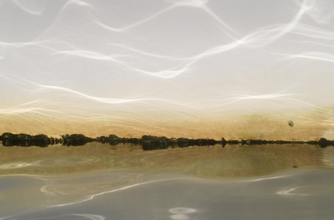 Life on the Lowlands - Ralph Kerle's Art Gallery Exhibition Online