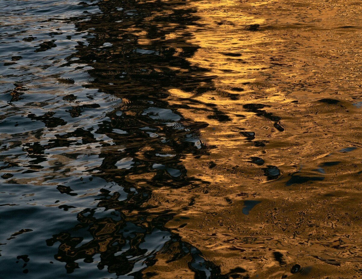 Gold Leaf On Water