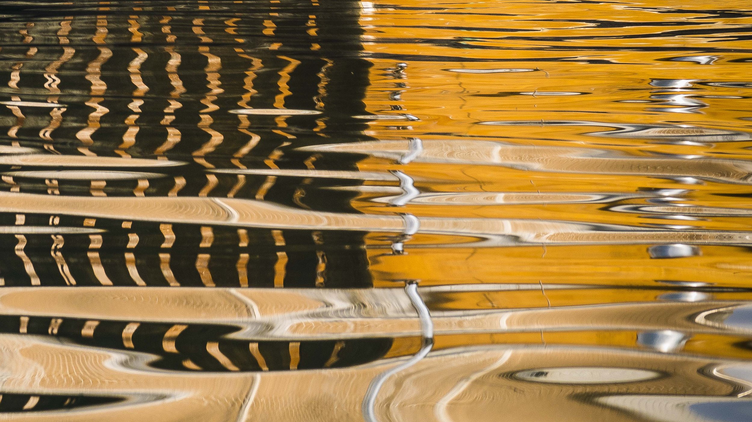 Nature Abstracts