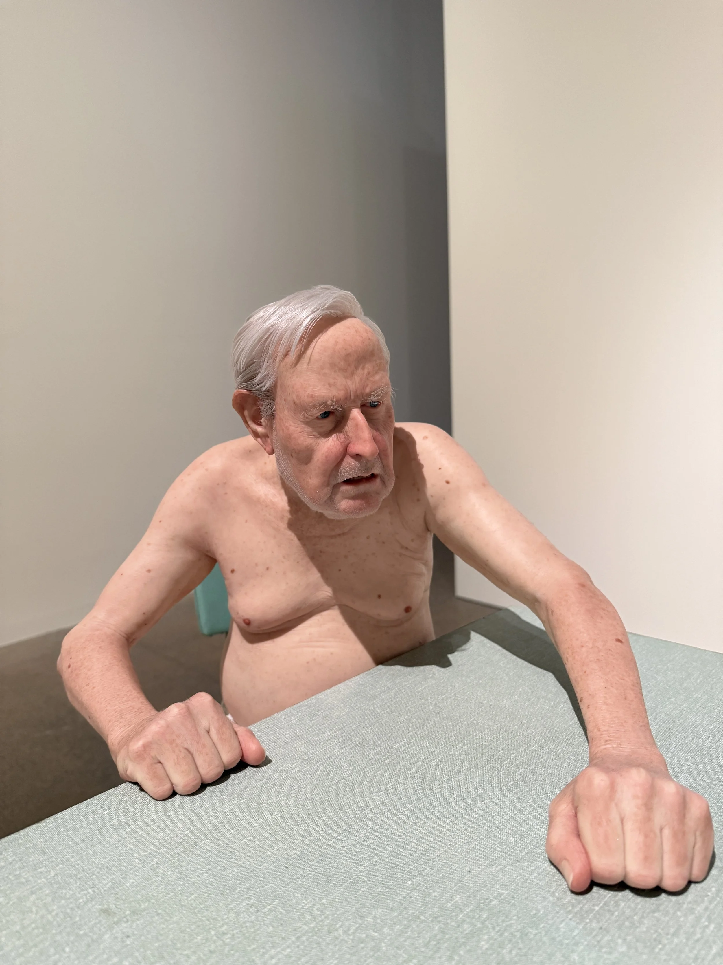 ron-mueck-encounters-agnsw-chicken-2