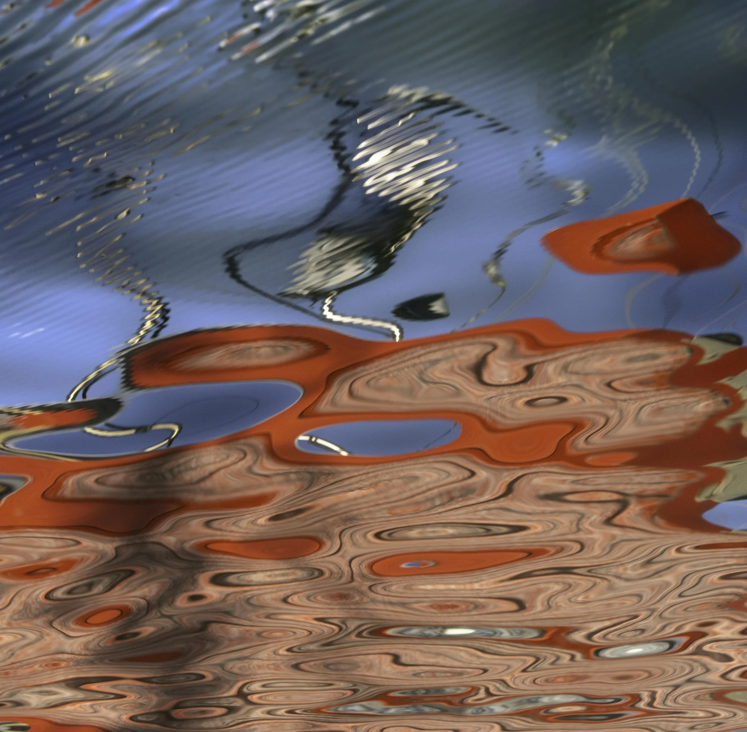 sea parrish and why some images stay 