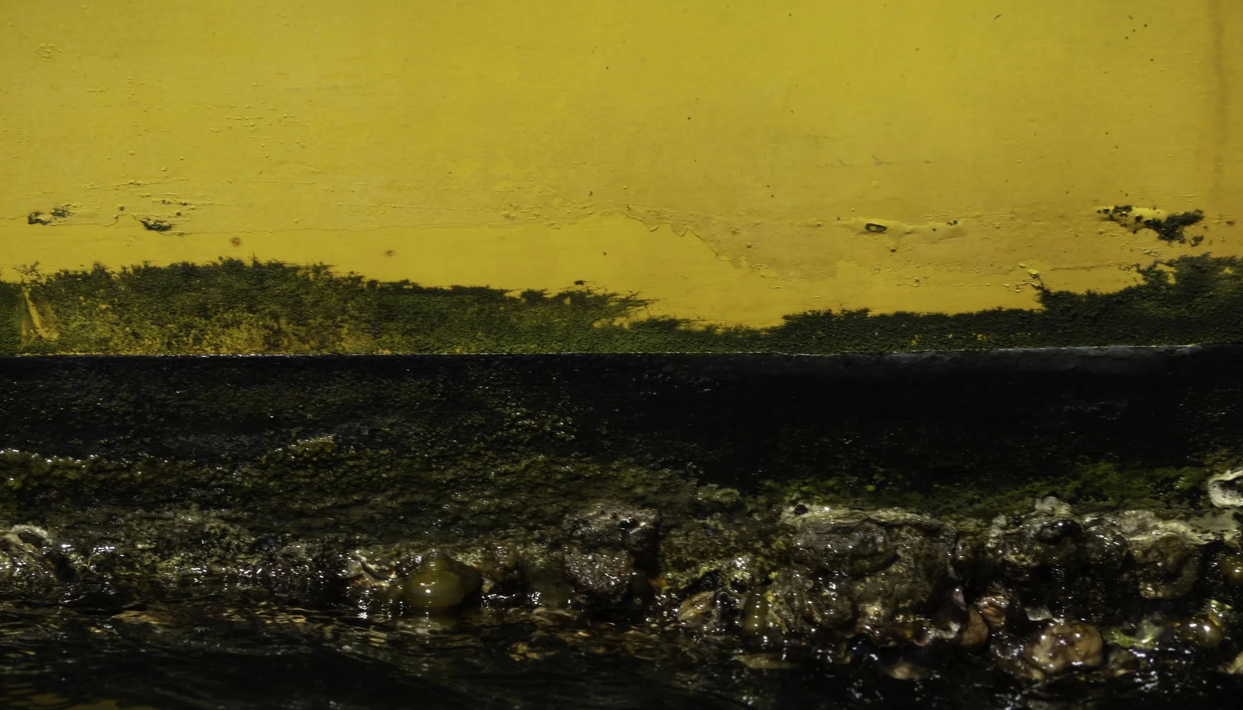 Beneath A Golden Horizon.jpg