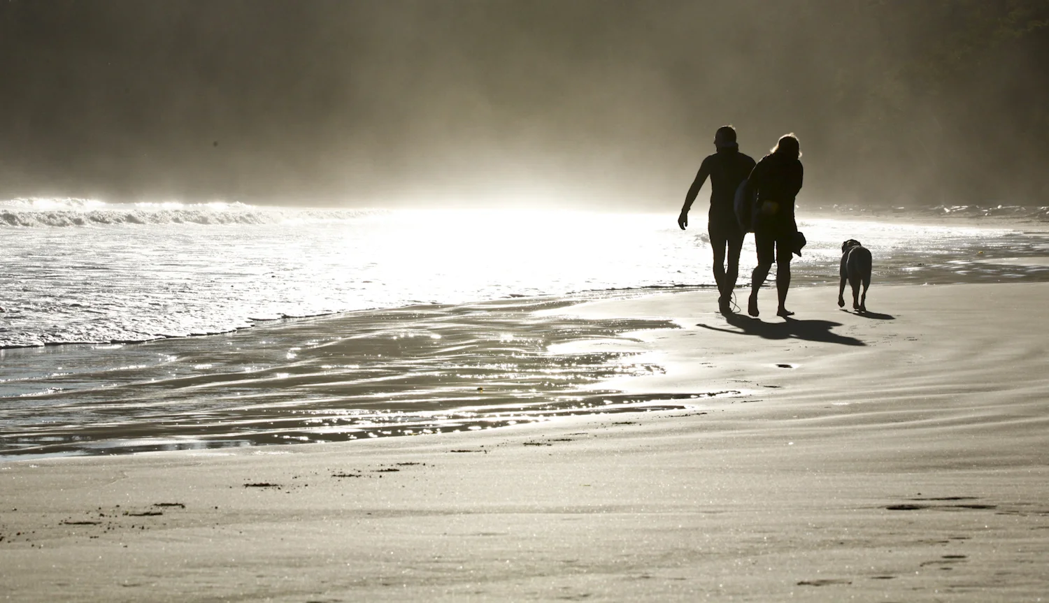 tofino walk on the beach with dog sunset