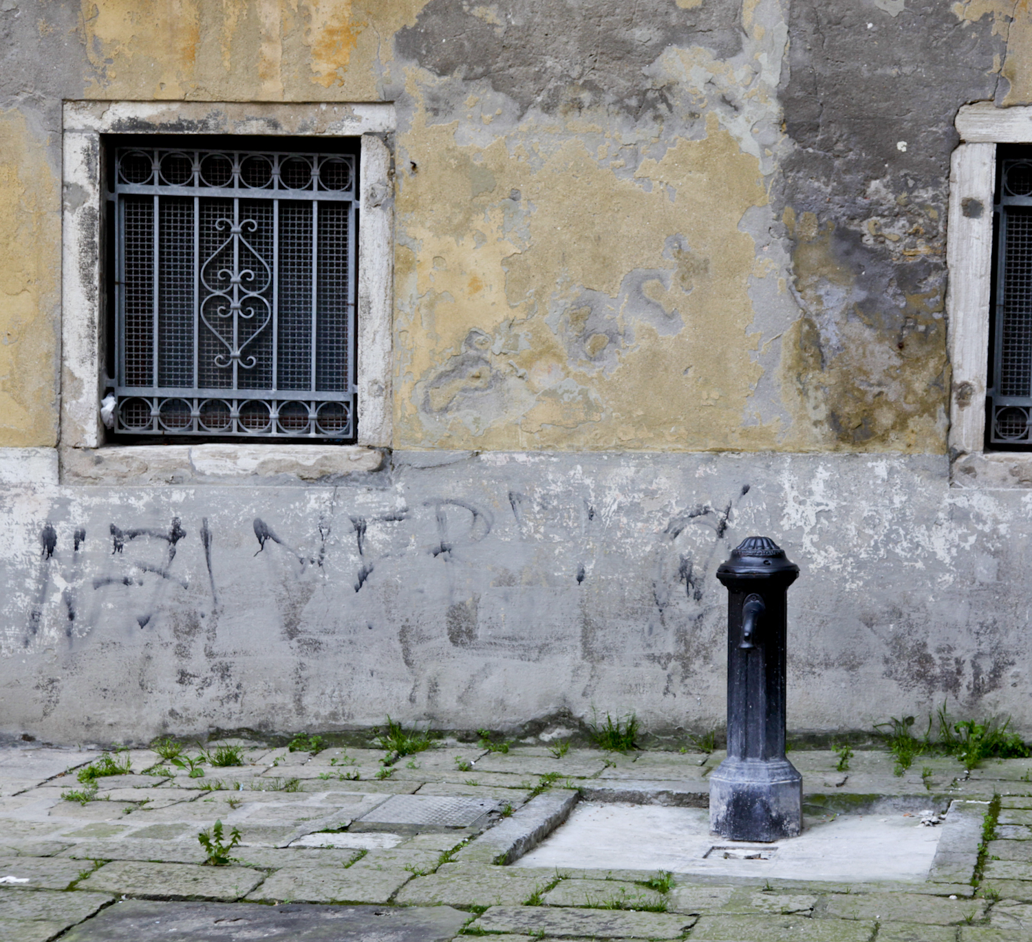 venise window yellow vibrations