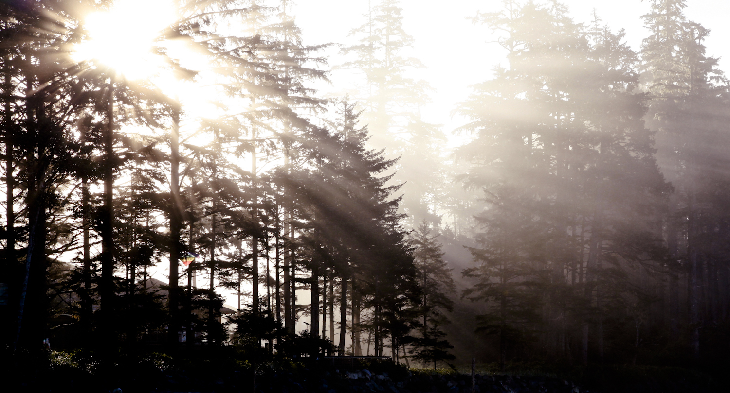 cox bay tofino sunrise resonance