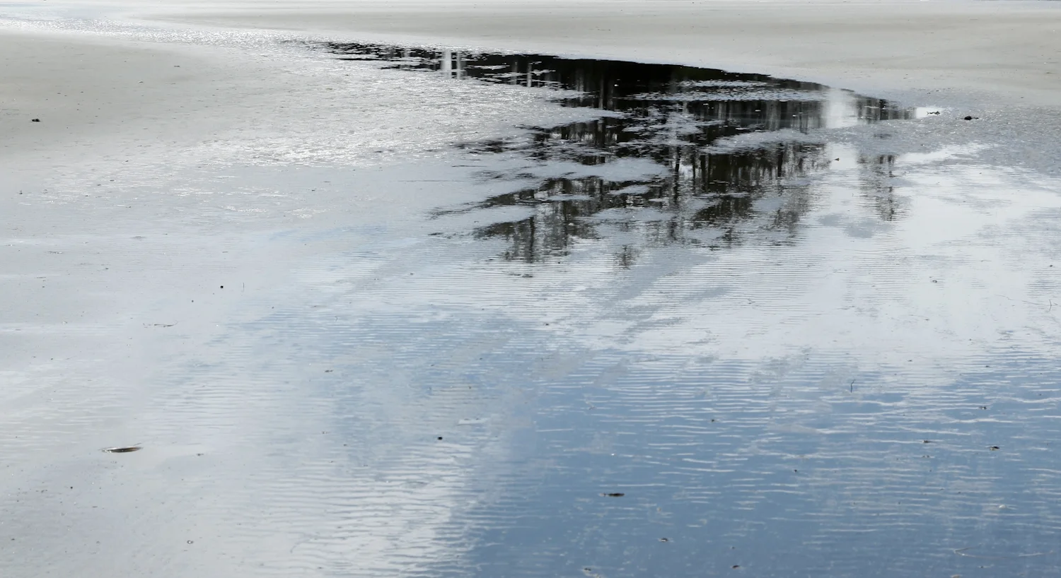 tofino beach reflection blue resonance