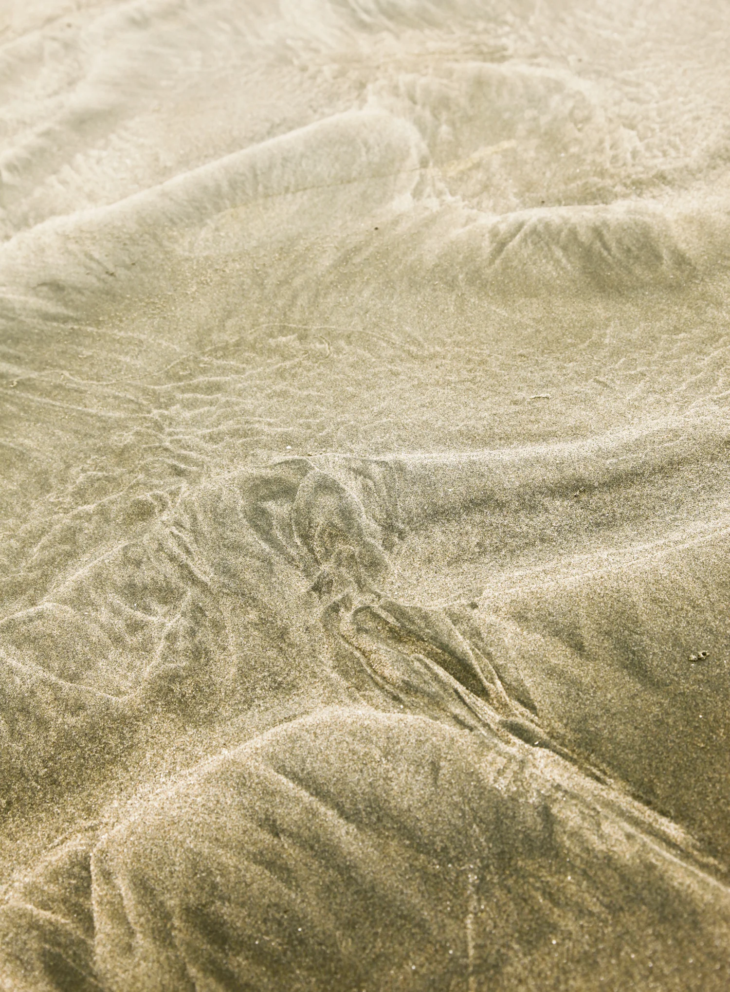 tofino sand resonance