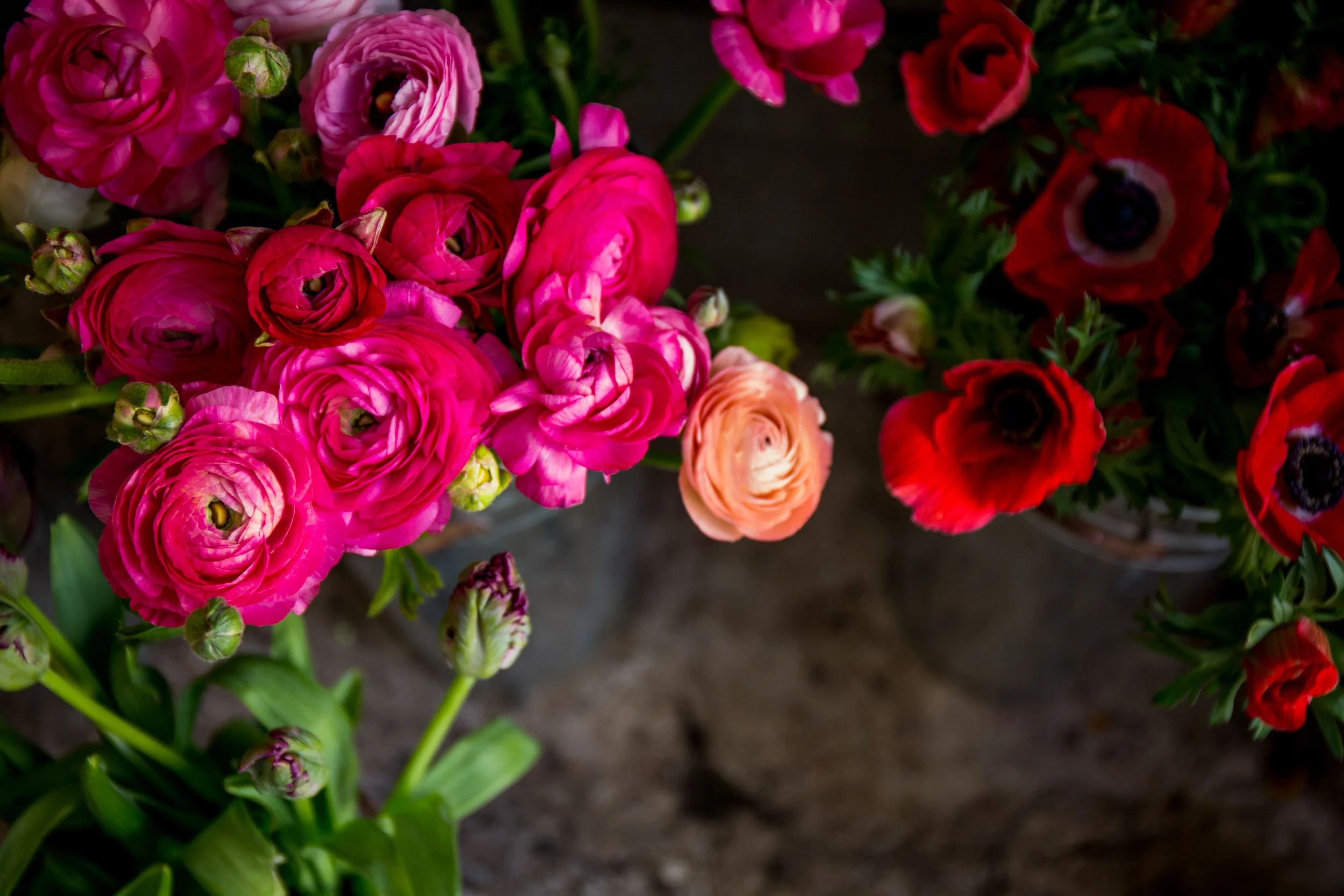 flowers.jpg