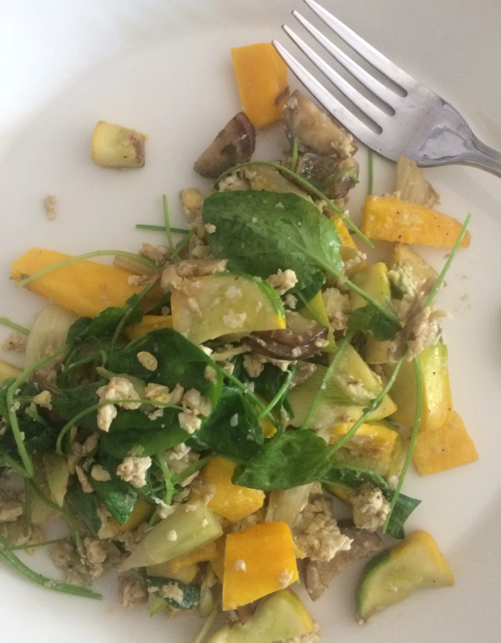 Food Matters