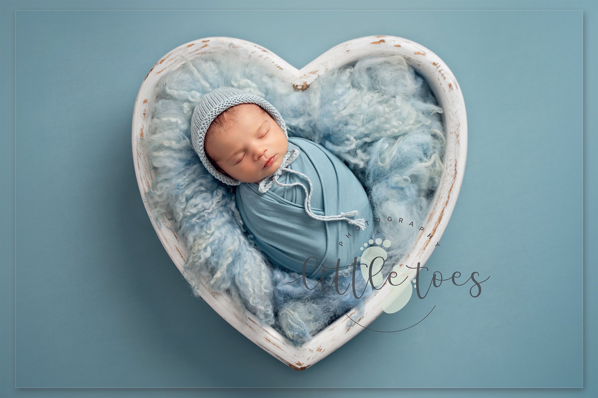 Alfie-07875-edit-logo.jpg