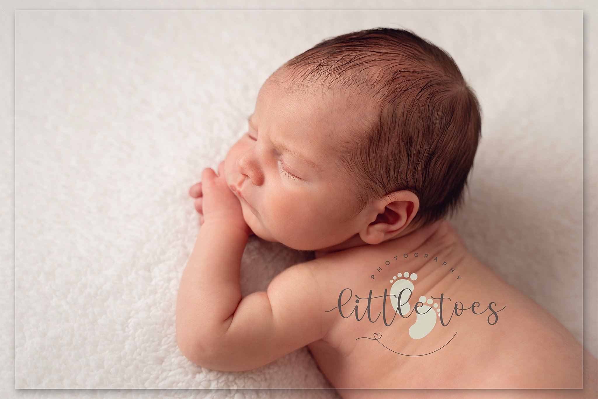 Alfie-08001-edit-logo.jpg