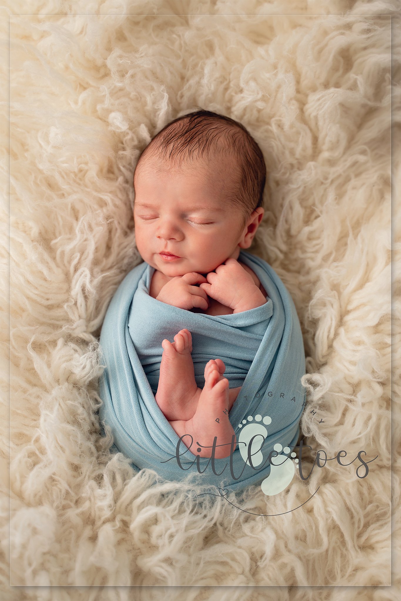 Alfie-08016-edit-logo.jpg