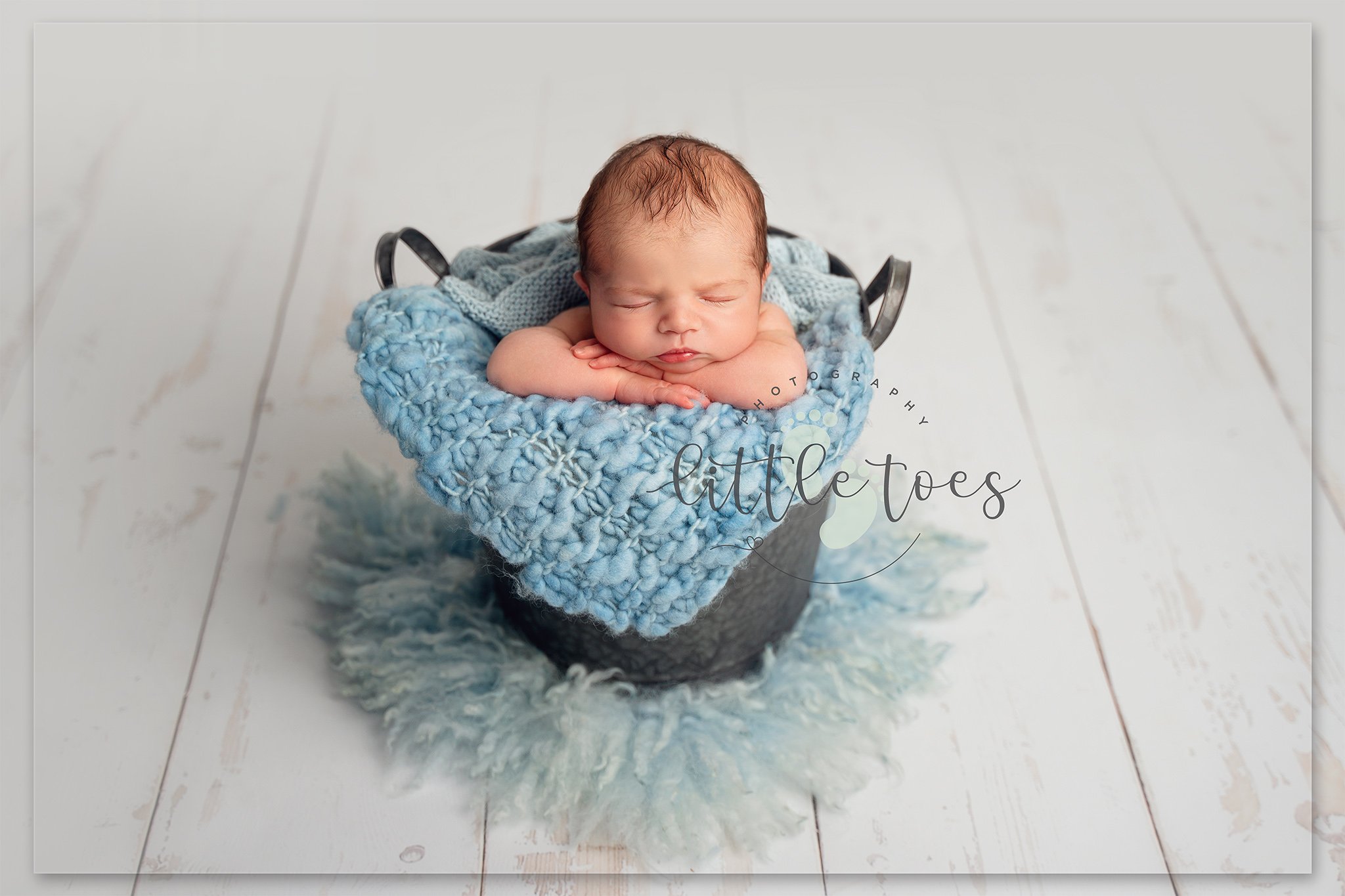 Alfie-08041-edit-logo.jpg