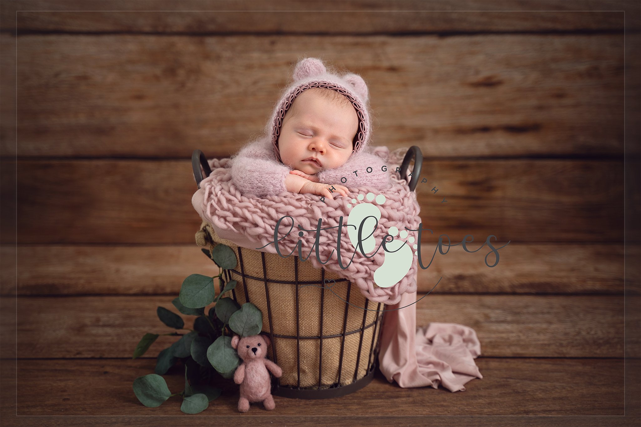 Frankie-20-edit-logoi.jpg