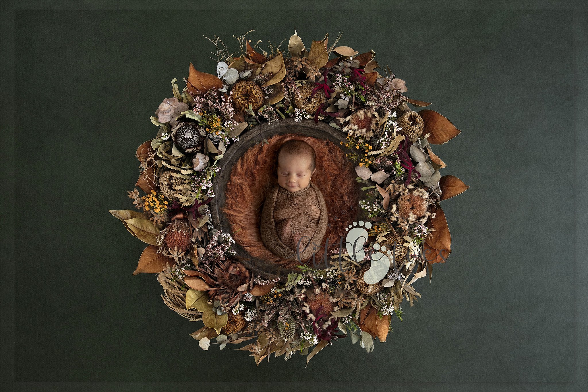 Tristan- Autumn-logo.jpg