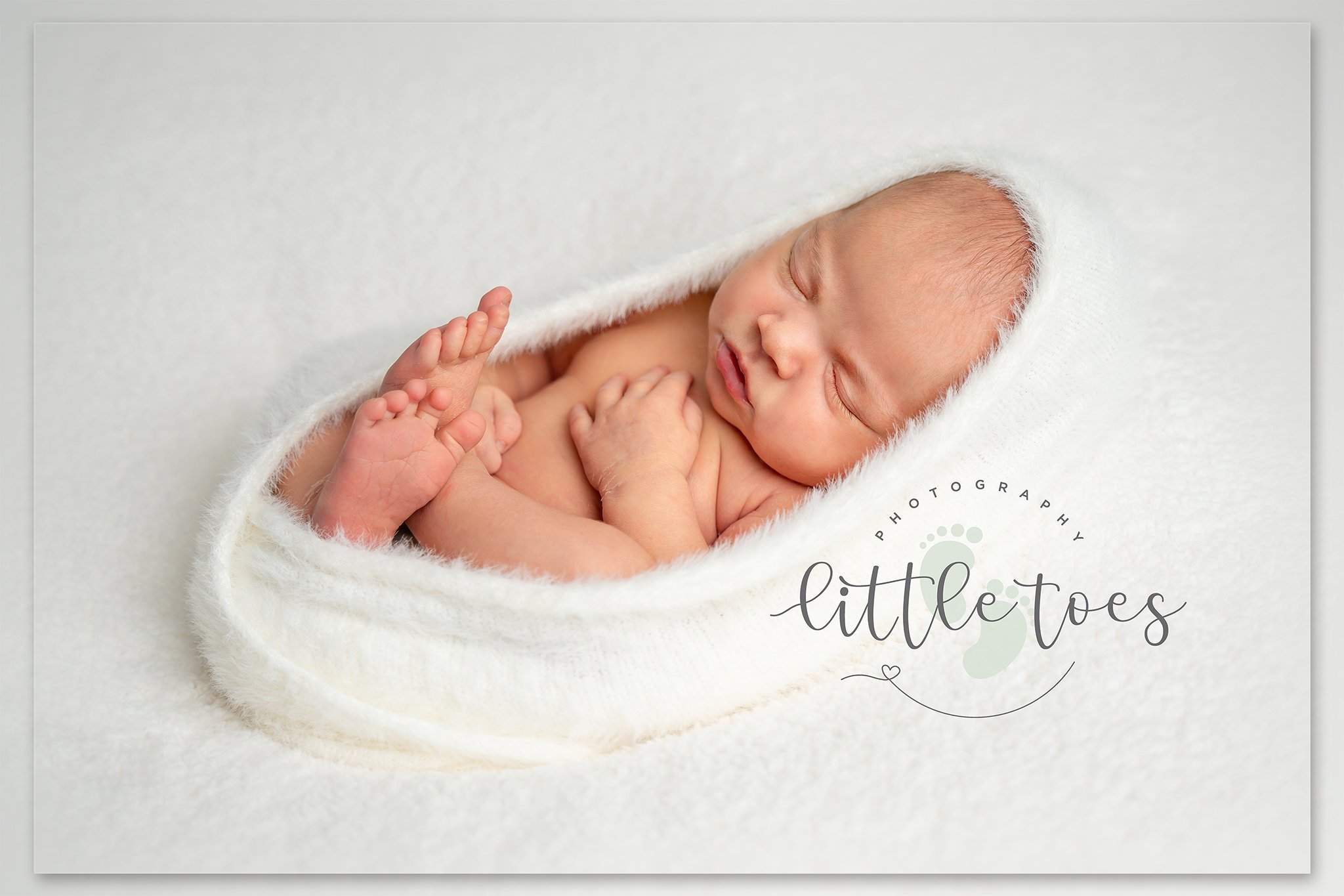 Missy-04531-edit-logo.jpg