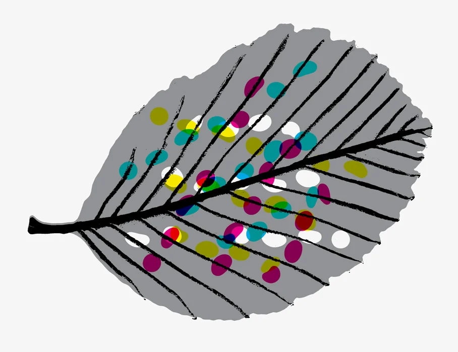 Leaf Virus Date printed 2003 Price: £500 Print type Screen Print Number in edition 10 Colour Four colours Paper type Somerset Paper size 76 x 57 cm Image area 70 x 51cm Signed By artist in pencil