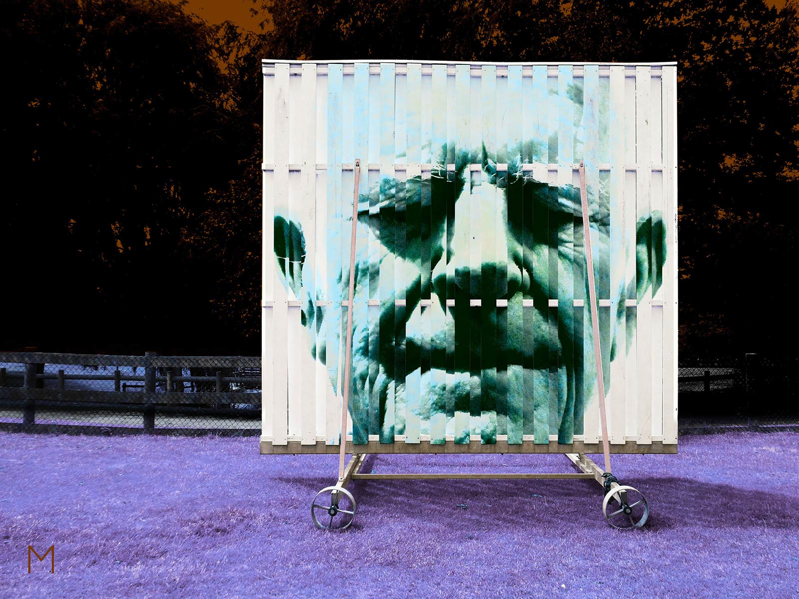 The Sight Screen