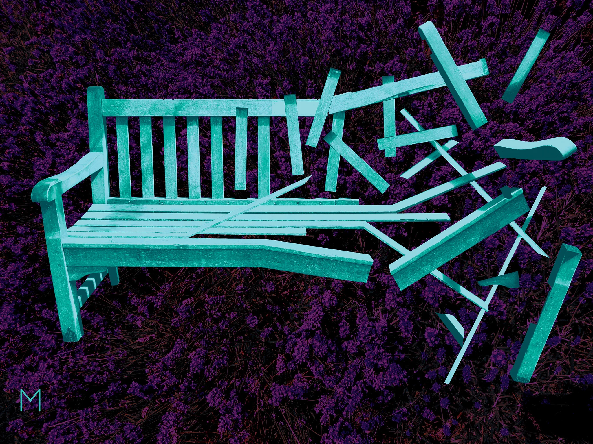 02-Lavender-Bushes.jpg