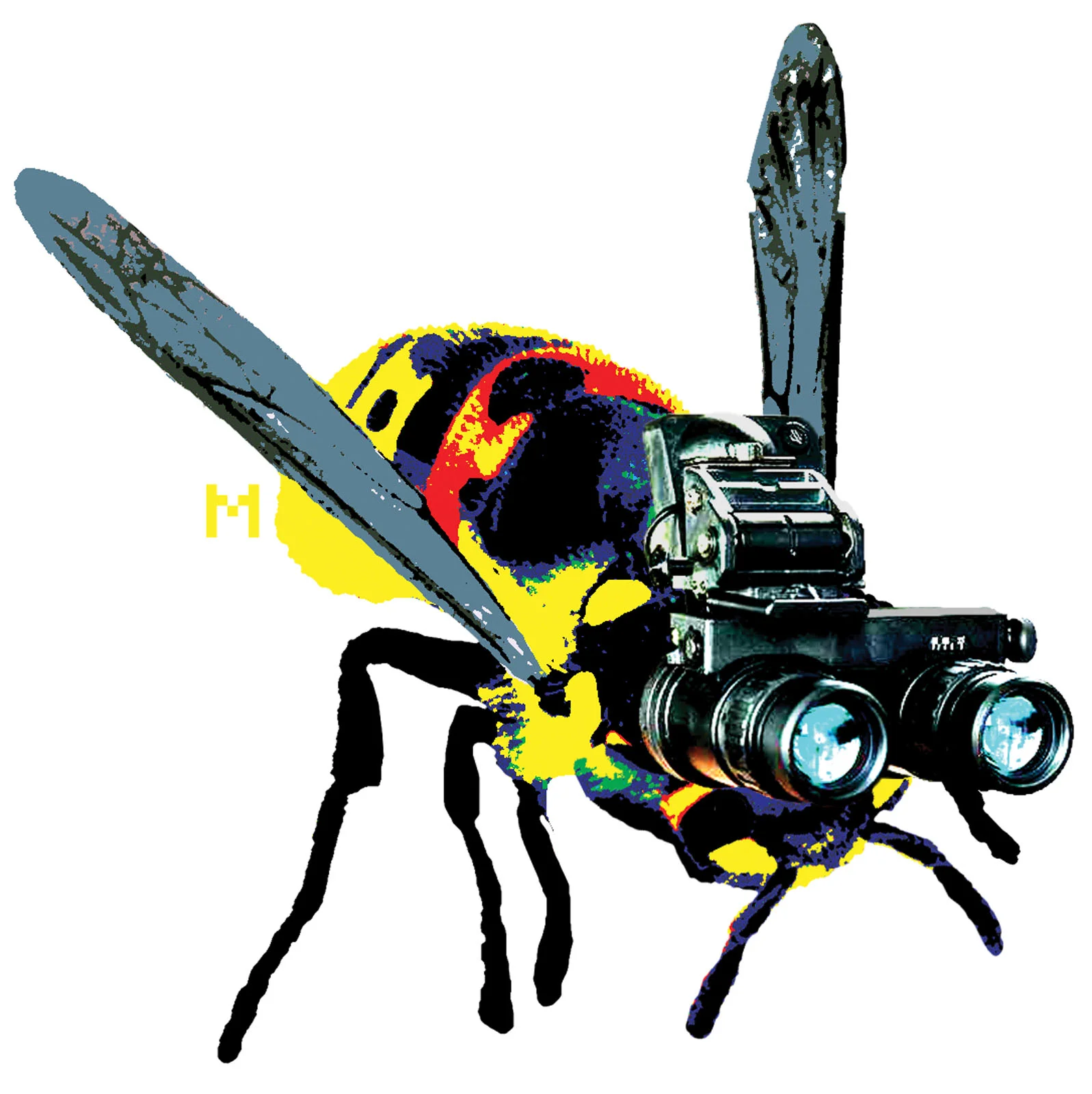 G224-Nocturnal Bee.jpg