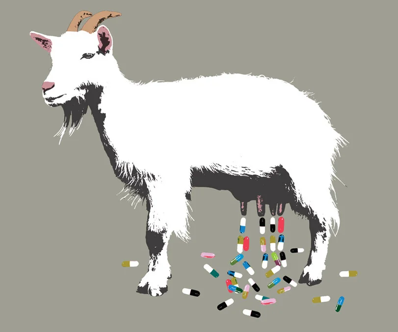 joemagee_goat.jpg