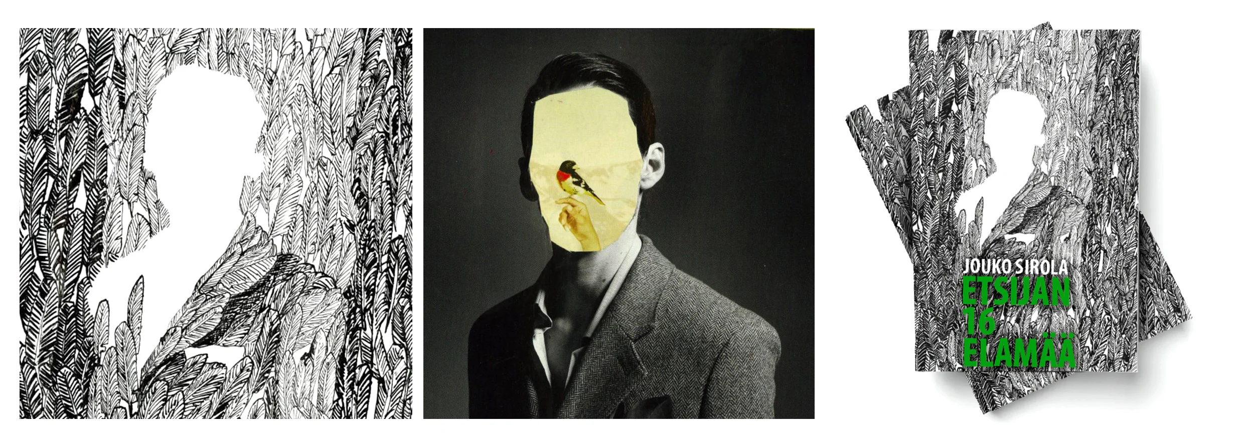 Book cover.jpg