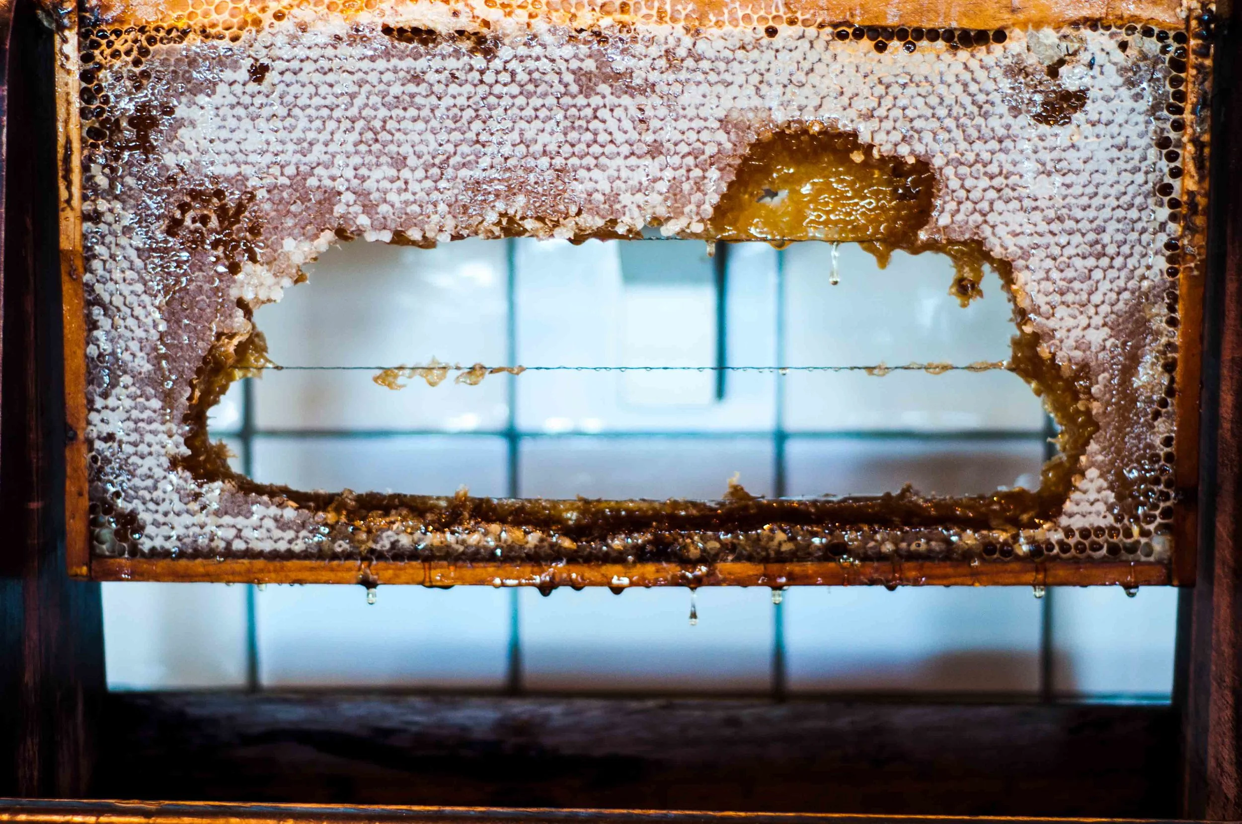 Raw Honey