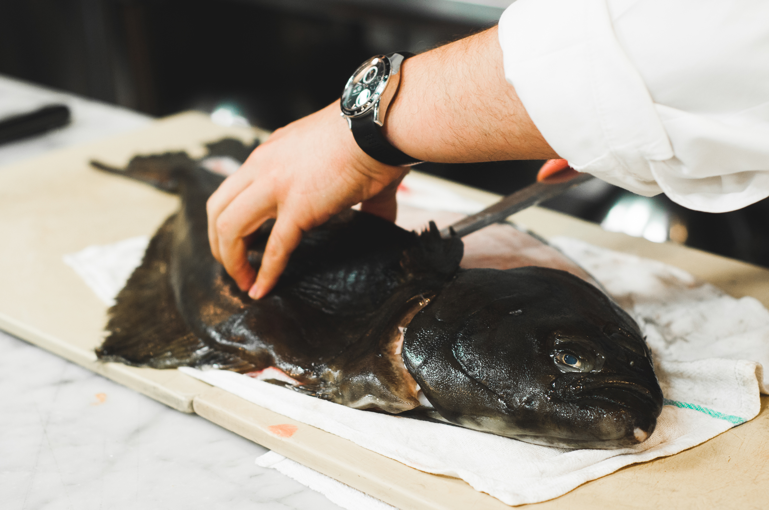 Filleting a fish