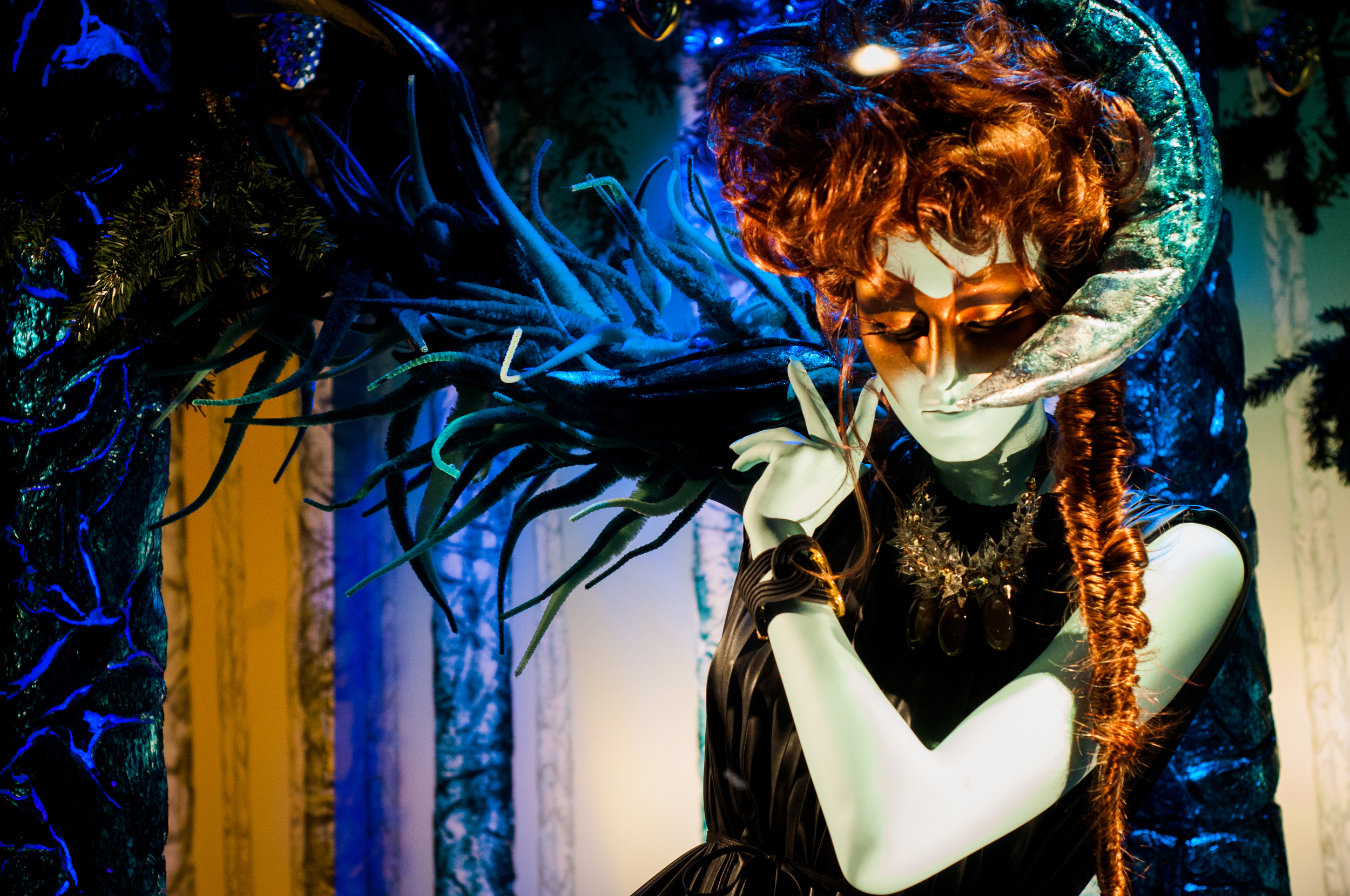 Winter Beauties, Harvey Nichols Display