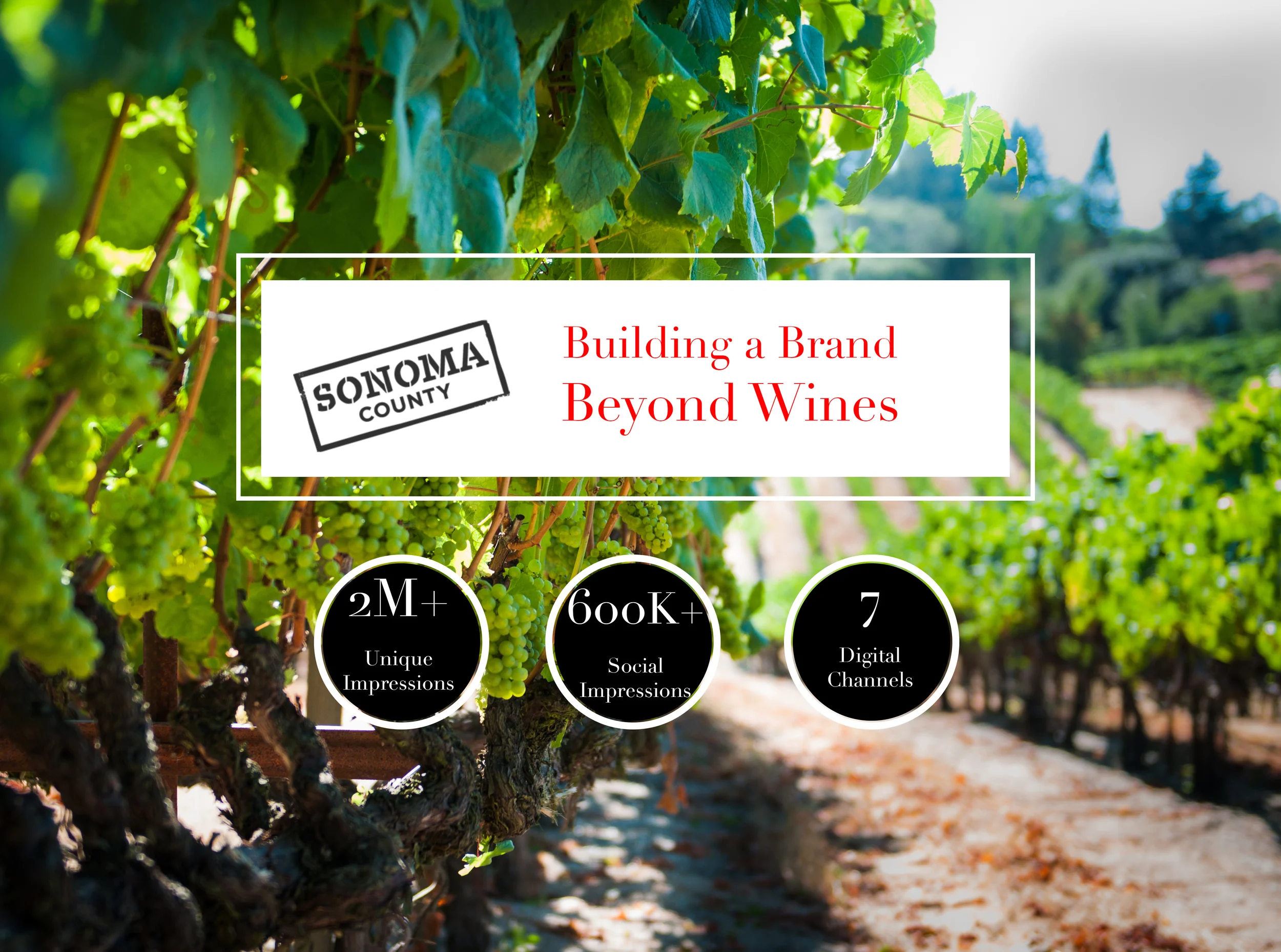 Sonoma County Tourism