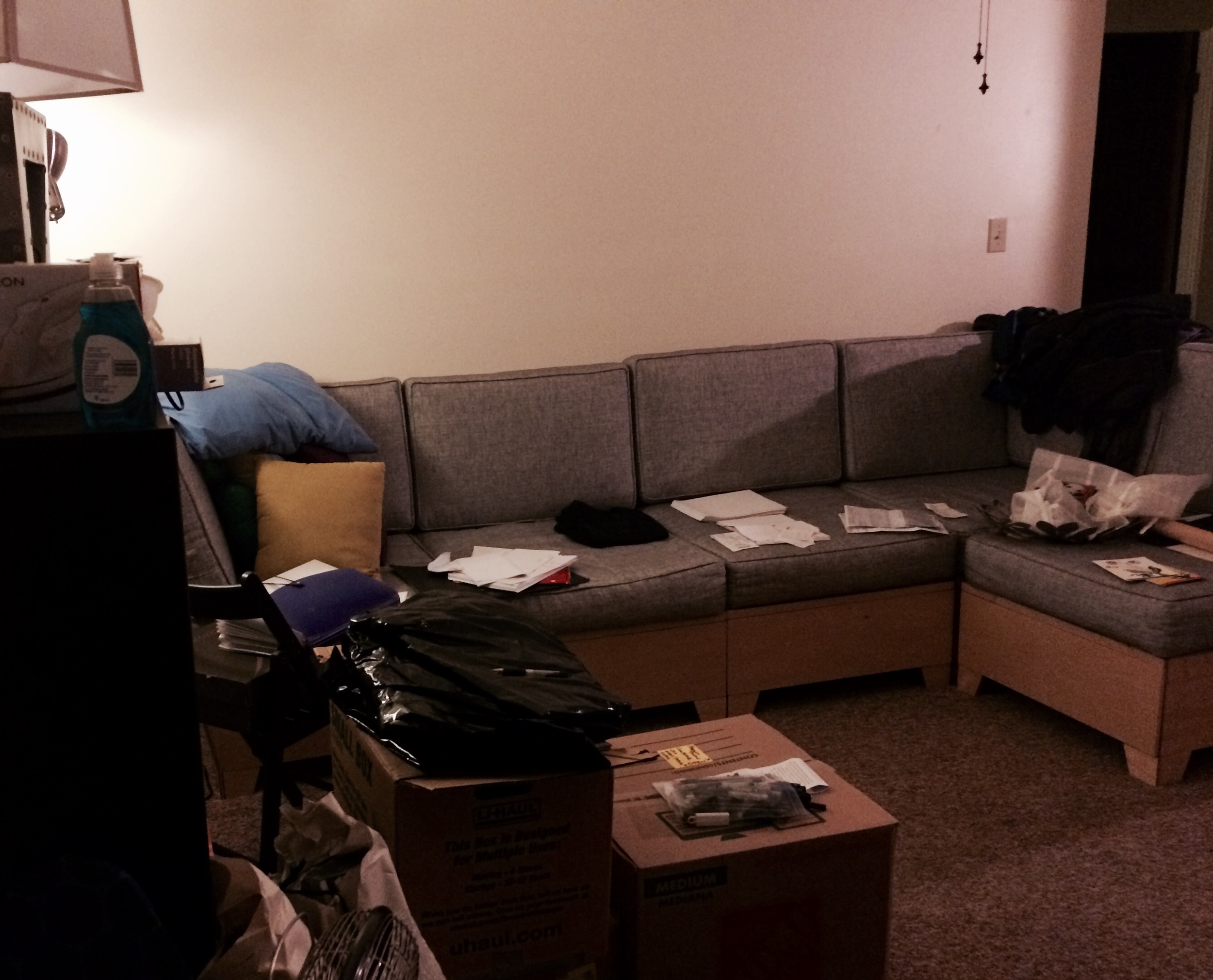 Clean Your Apt
