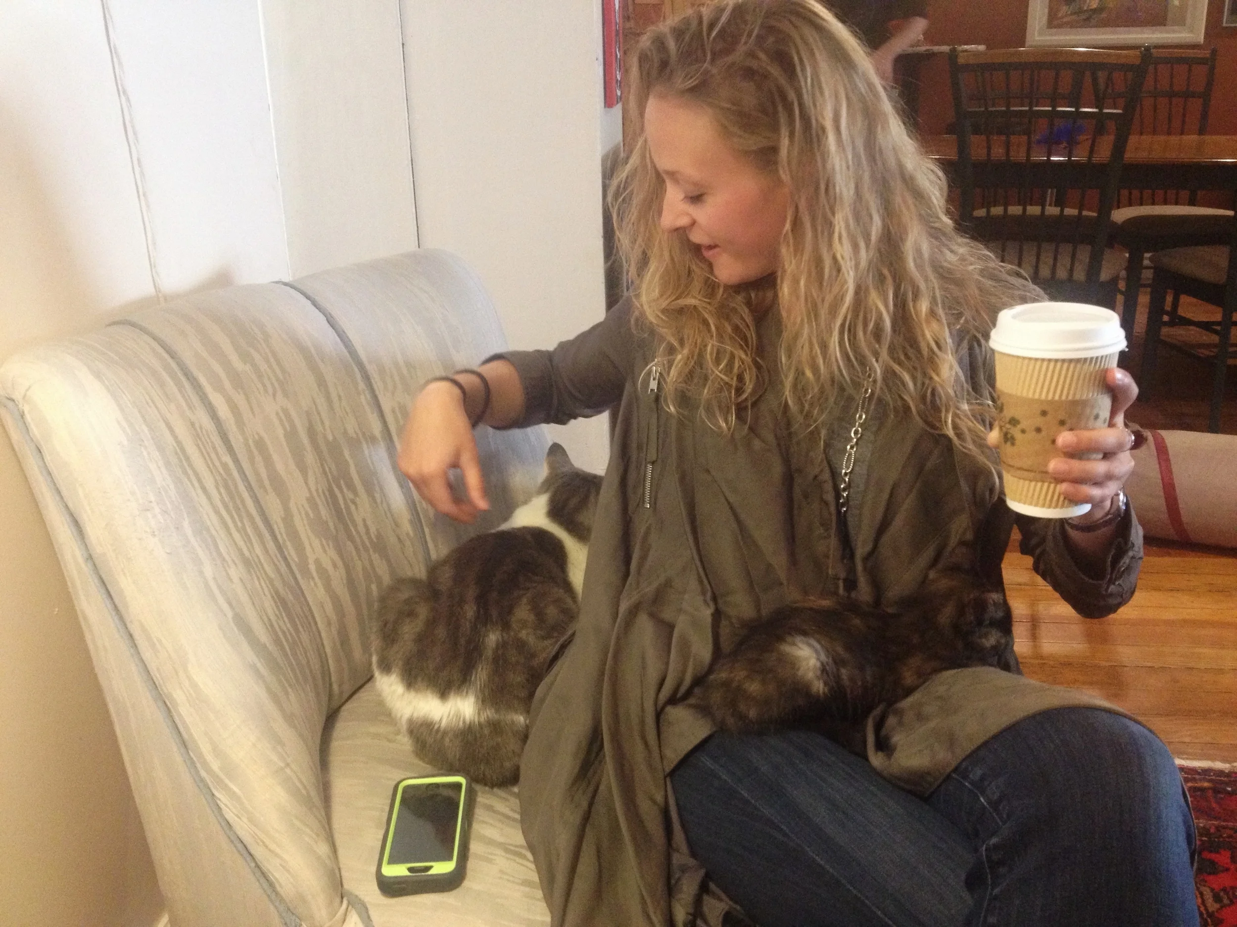 Cat Cafe