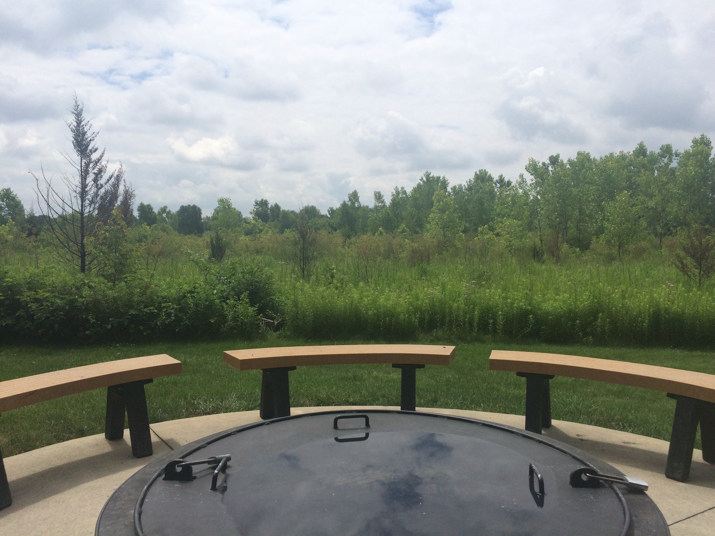 Lunch In the Park