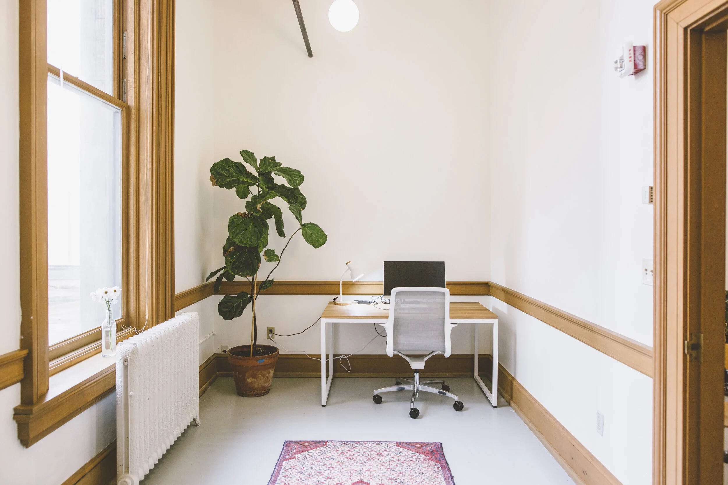 TPC_Offices_01.jpg