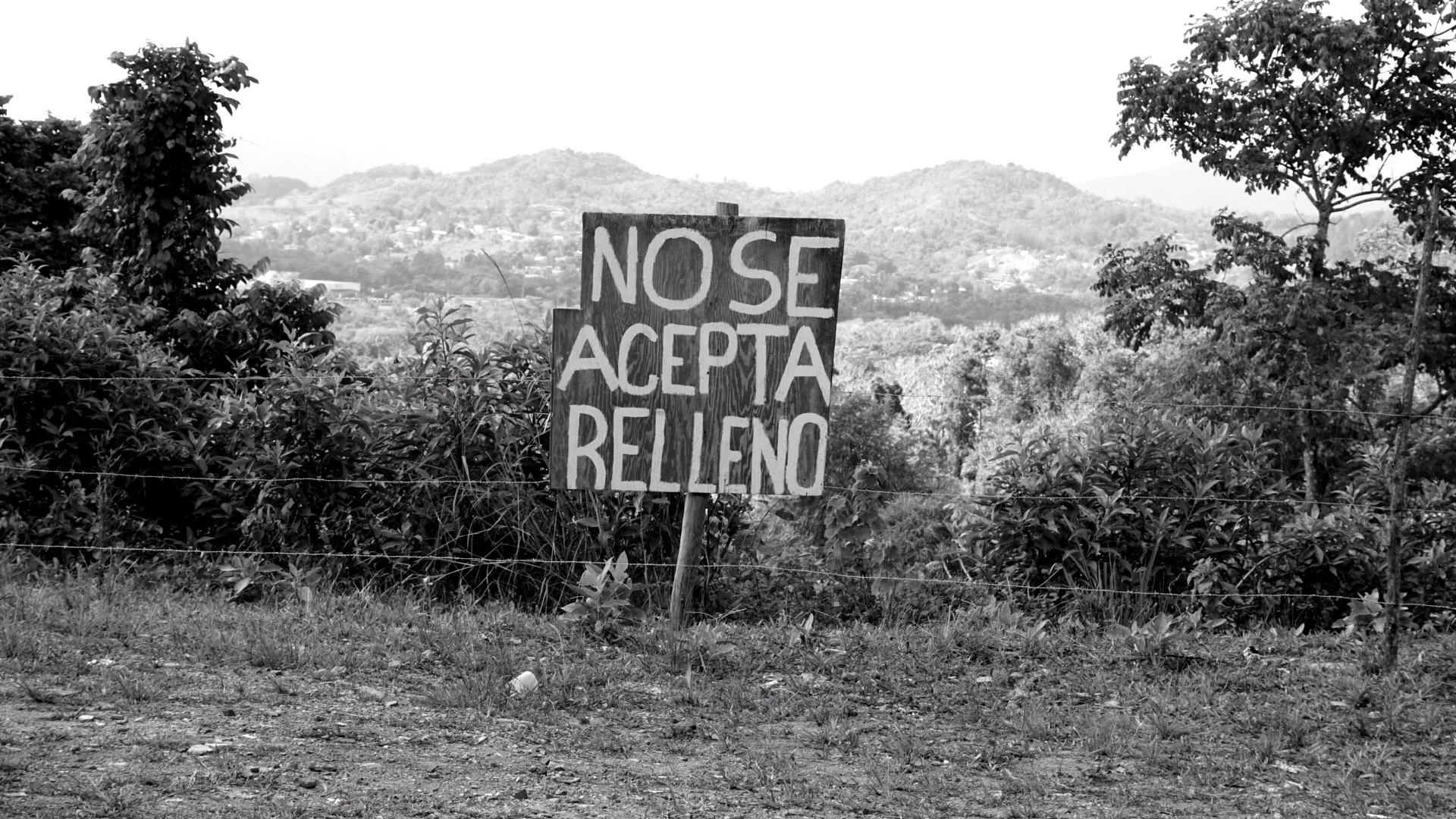 Cidra, Puerto Rico. 2014.