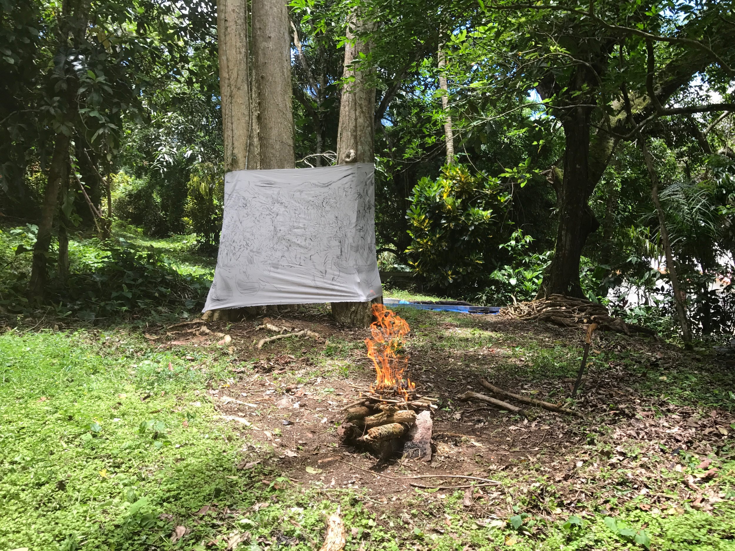 View from the Charcoal Studio, Aguas Buenas Puerto Rico, June, 2017