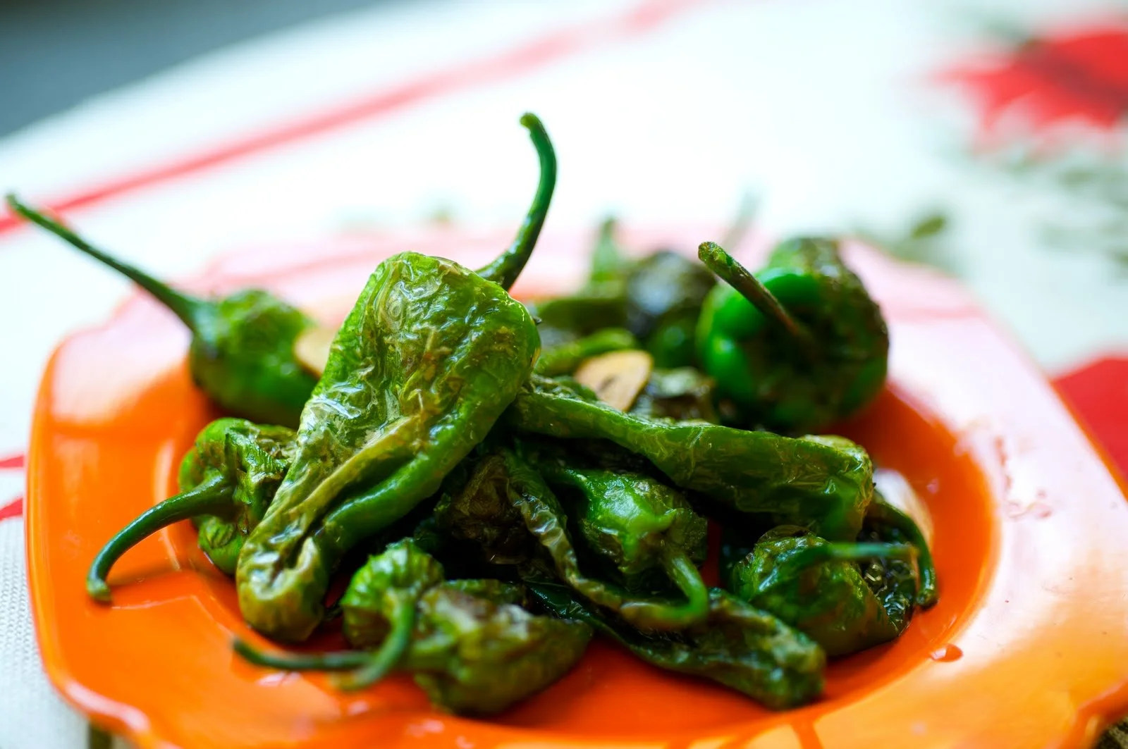 Galician cuisine workshop