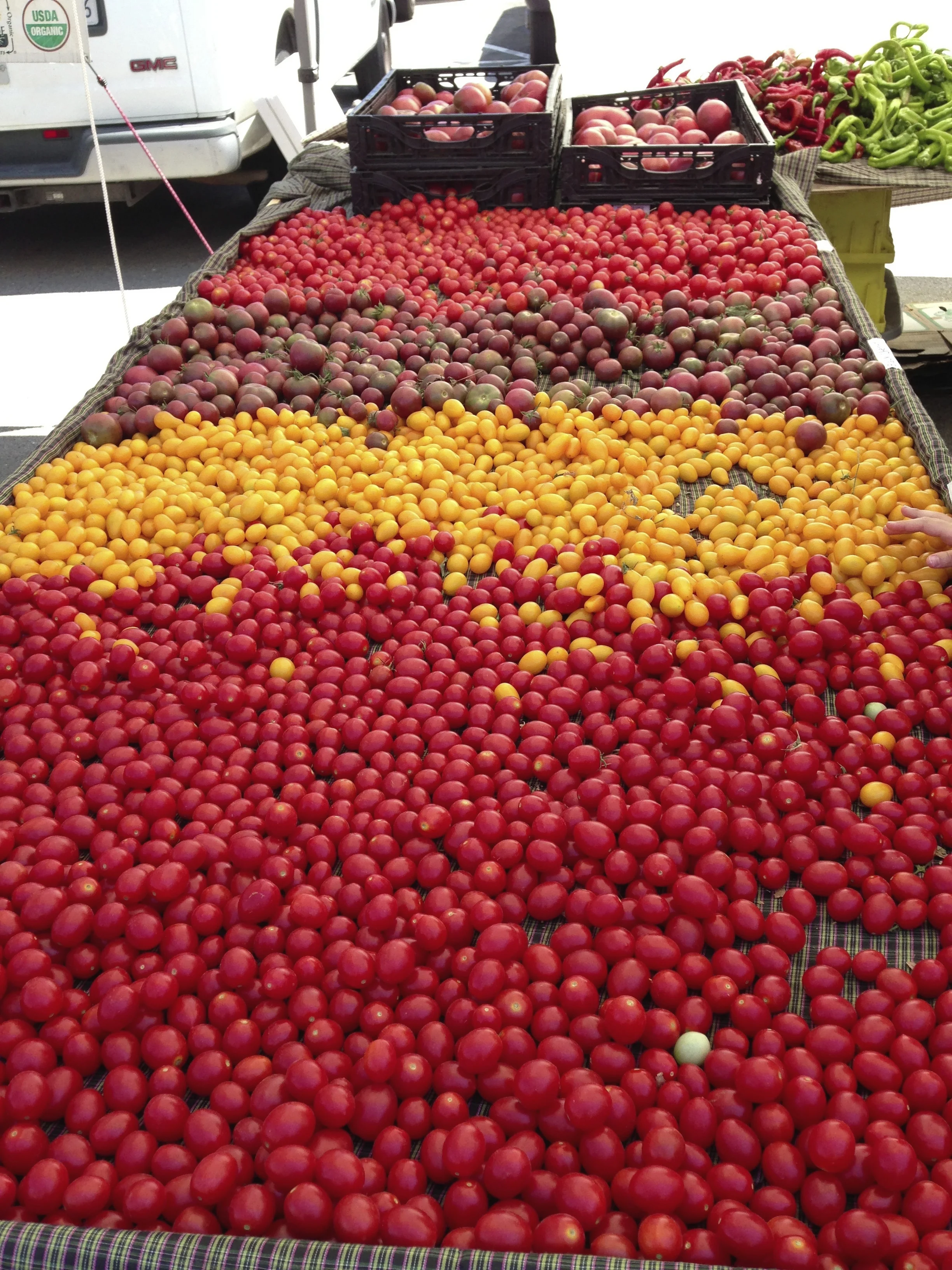 The Spanish Tomato (Cavallo Point) 