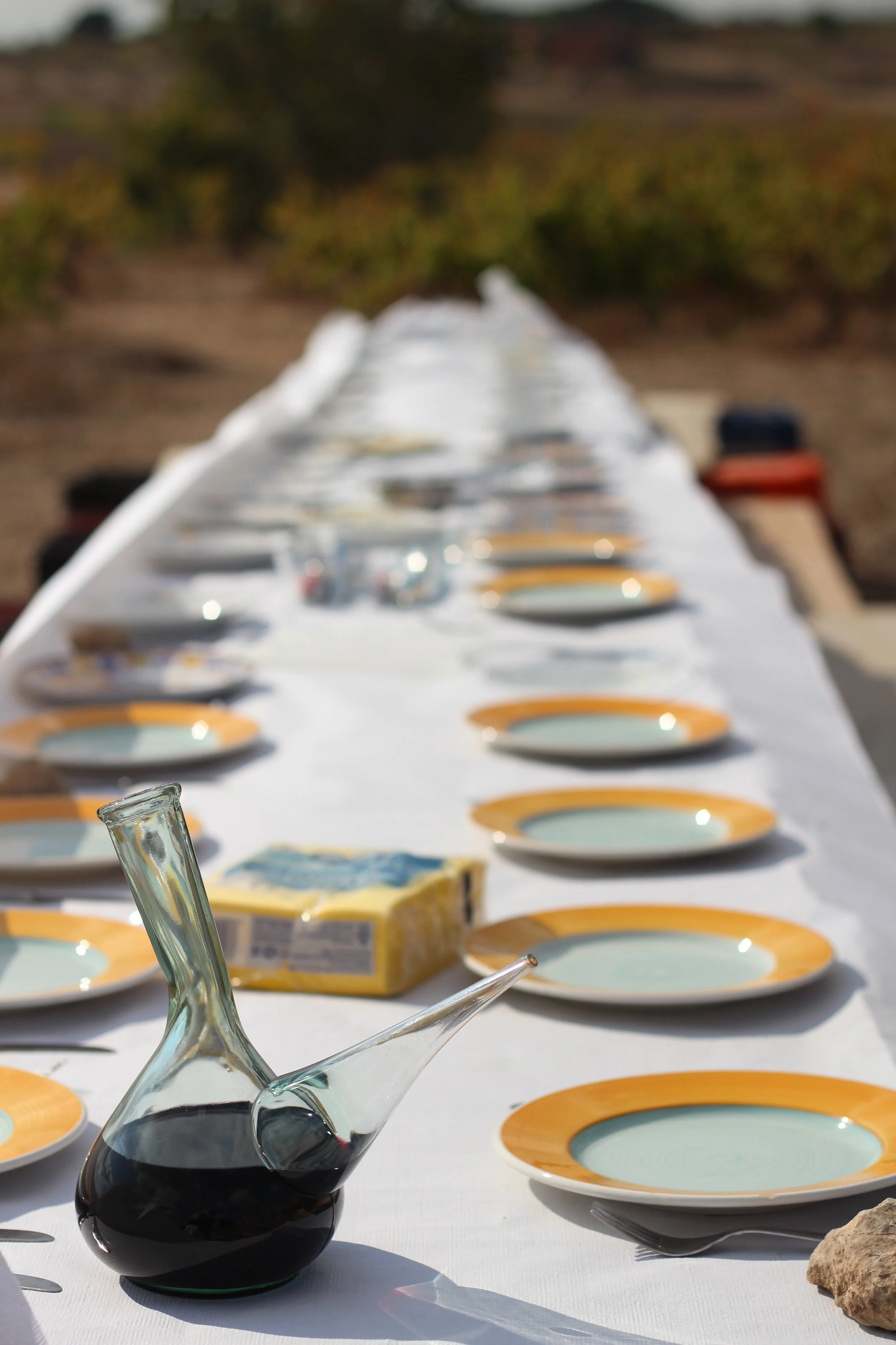 Visit an Organic Farm with Lunch