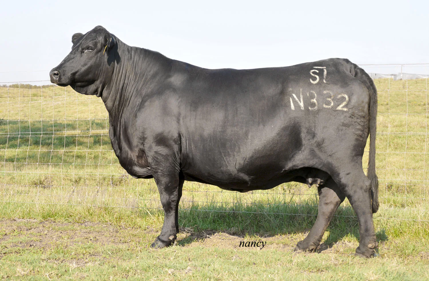 SVF 9-12-11 N332.jpg