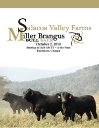 October 2010 "Salacoa Valley Farms and Miller Brangus" Bull Sale