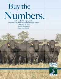 October 2011 "Buy the Numbers" Bull and Female Sale