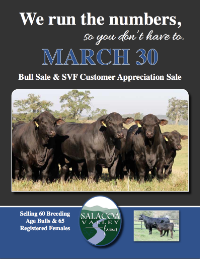 Spring 2013 "We Run the Number" Bull and Female Sale