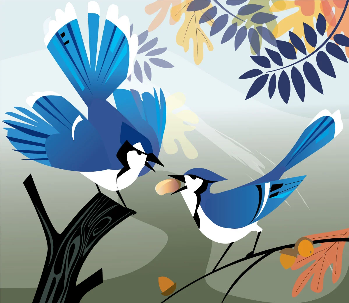 blue_jay.jpg