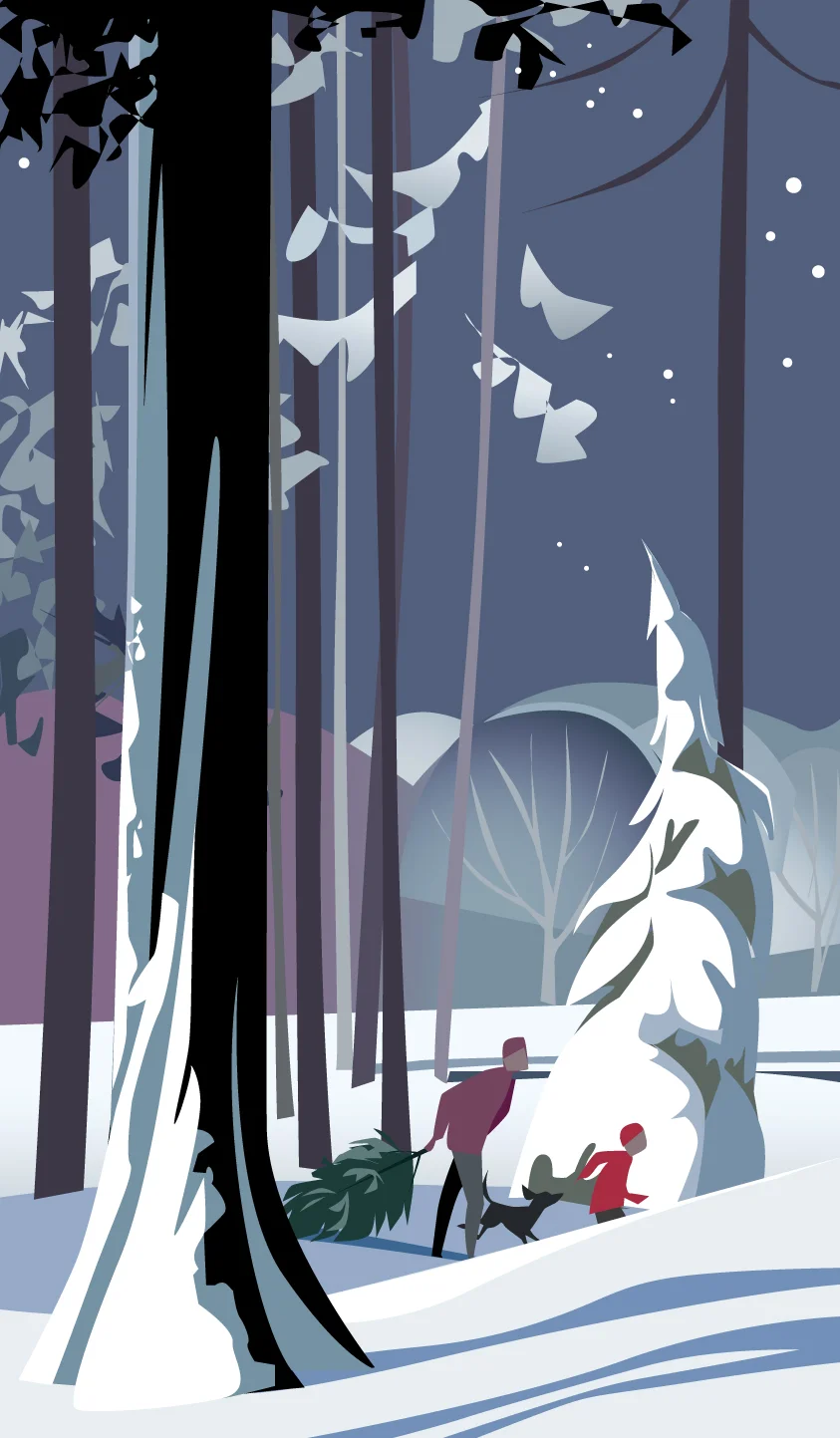 through_the_woods_larger.jpg
