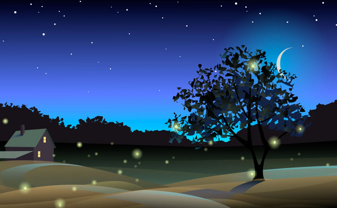 claudia's-field.jpg