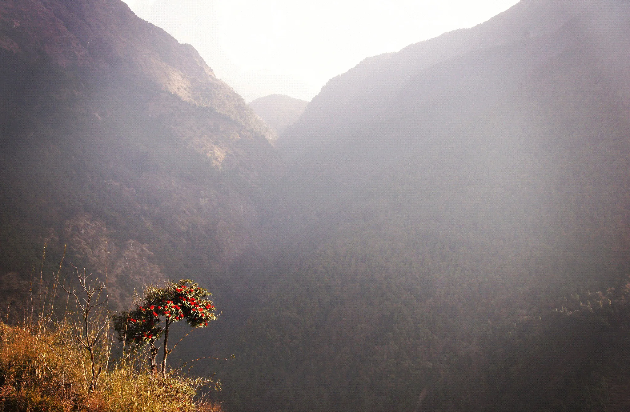 Himalayan Mountains, Nepal